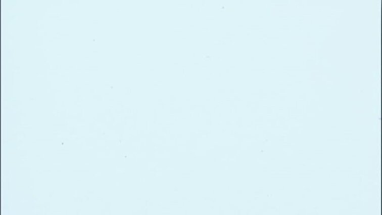 Laidos „Sporto studija“ siužetai: Vilniaus vandens sporto rūmai