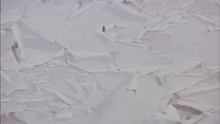 Laidos „Panorama“ siužetai: olimpiečių apdovanojimai