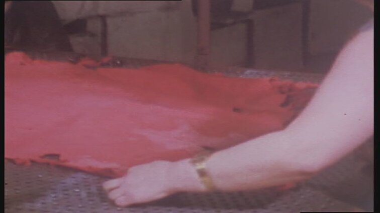 Laidų „Panorama“, „Savaitės panorama“ siužetai: žvejų sodybos Rusnėje