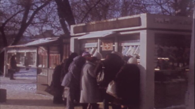 Laidos „Ieškojimai ir sprendimai“ siužetai: gyventojų surašymas