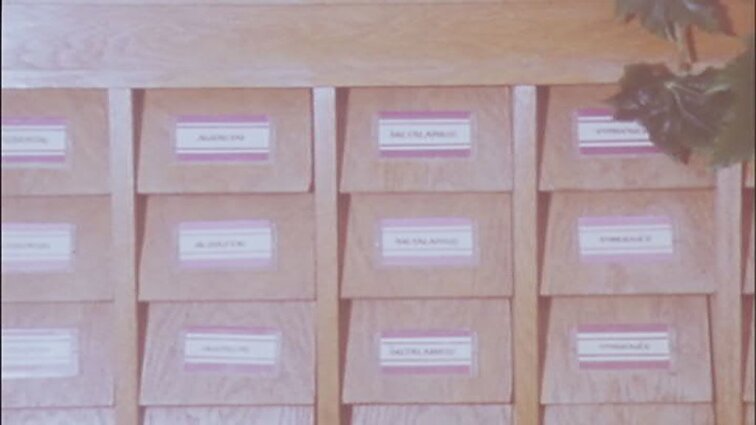 Laidos „Agropramoninis kompleksas“ siužetai: naujos veislės