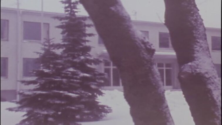 Laidos „Panorama“ siužetai: naujametinių puokščių paroda