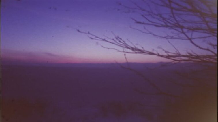 Laidos „Šeimos rytmetys“ siužetai: Libertas Klimka, Leonas Jezerskas, Ričardas Mikutavičius