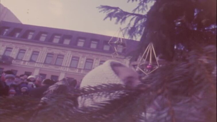 Laidos „Žinios“ siužetai: gražioji alytiškė