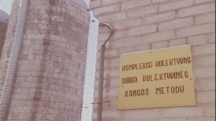 Laidos „Agropramoninis kompleksas“ siužetai: jaunos šeimos augina buliukus