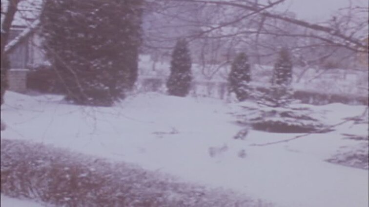 Laidos „Agropramoninis kompleksas“ siužetai: Veronika Šleivytė, Adomo Petrausko namas-muziejus