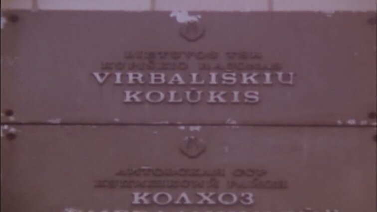 Laidos „Žmogus, visuomenė, įstatymas“ siužetai: darbo įstatymų pažeidimai