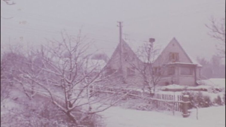 Laidos „Panorama“ siužetai: radiologiniai tyrimai duonos kombinate, gimė 1989 metų vilnietis