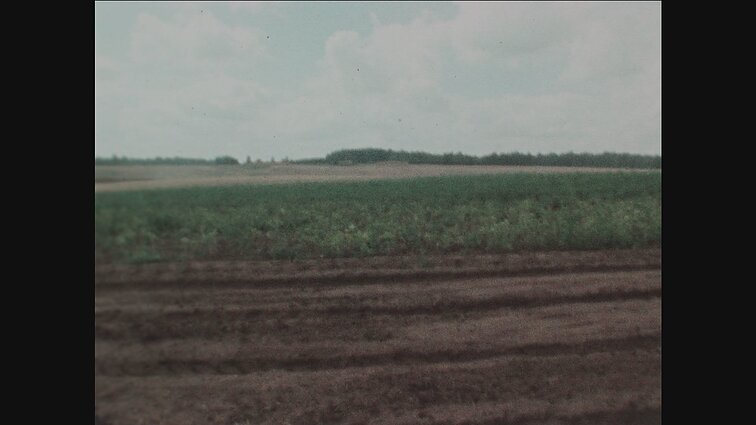 Laidai „Panorama“