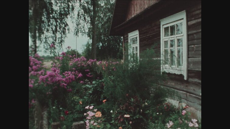 Laidoms „Savaitės panorama“ (lenkų kalba), „Panorama“