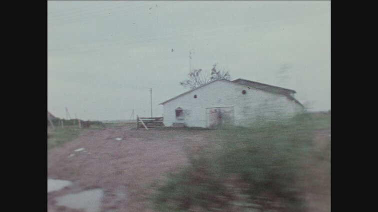 Laidai „Žmogus ir žemė“