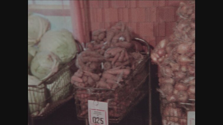 Laidai „Panorama“