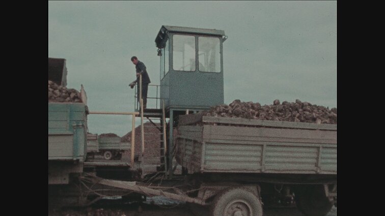 Laidai „Panorama“