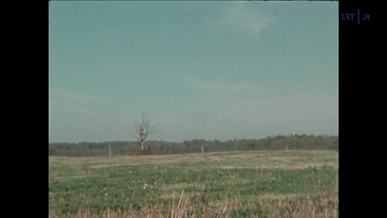 Laidos „Svetimo skausmo nebūna“ siužetai: rūpestis senoliais