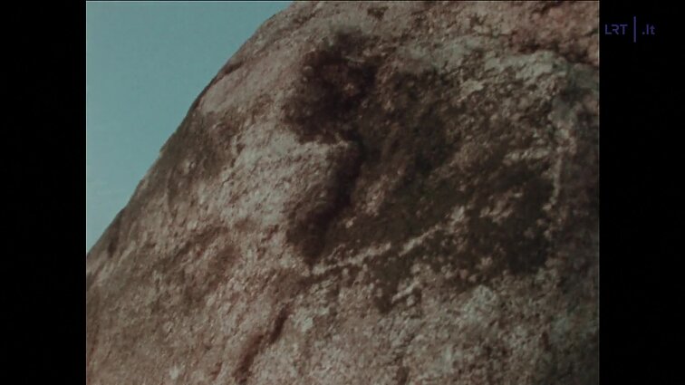 Laidų „Panorama“, „01..02..03“ siužetai: Rėžių kaime atkastas didelis akmuo