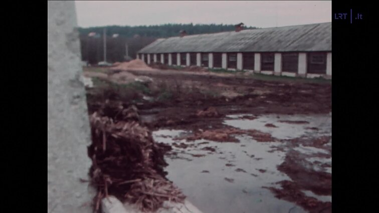 Laidos „Panorama“ siužetai: privati biblioteka, Veiverių muzikos mokykla