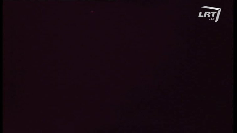 Lietuvos kronika 1993 - 20 (1678) Autoportretas