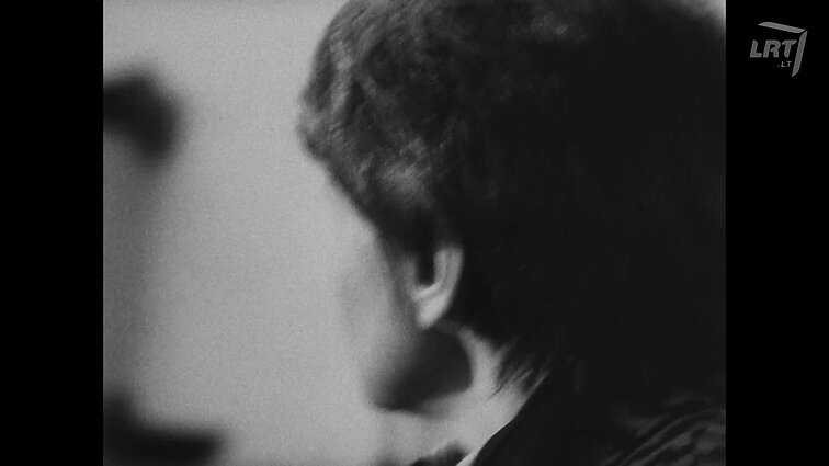 Lietuvos kronika 1993 - 13 (1671). Dalia Matulaitė