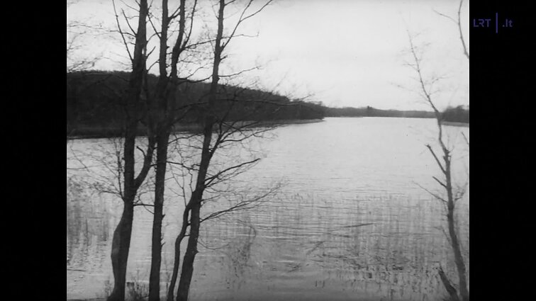 Lietuvos kronika 1993 - 08 (1666). Žemės reforma