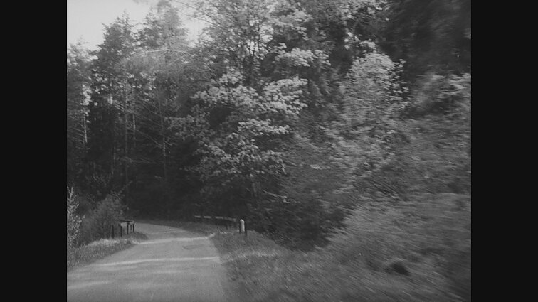 Lietuvos kronika 1993 - 10 (1668). Diena Anykščiuose