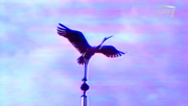 Panoramos archyvai. Paskelbtos pratybos Ignalinos AE