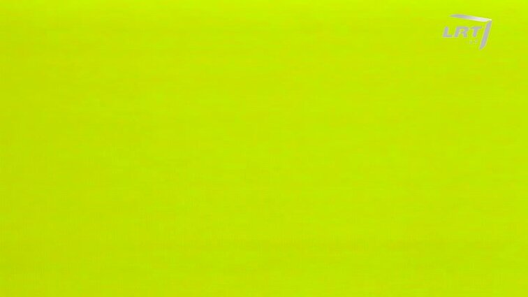 Panoramos archyvai. LIFE festivalis