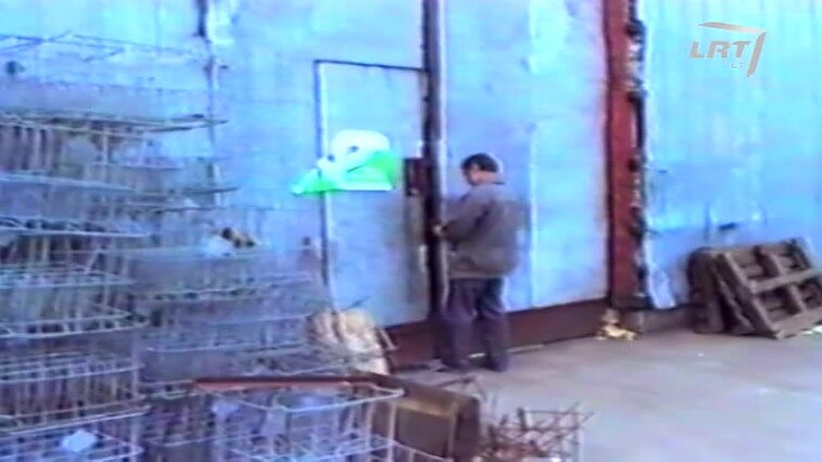 Panoramos archyvai. Netikras konjakas