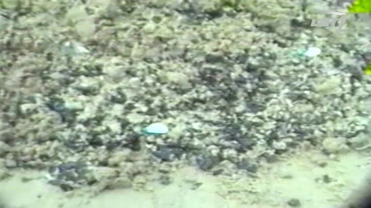 Panoramos archyvai. Mazutas pajūryje