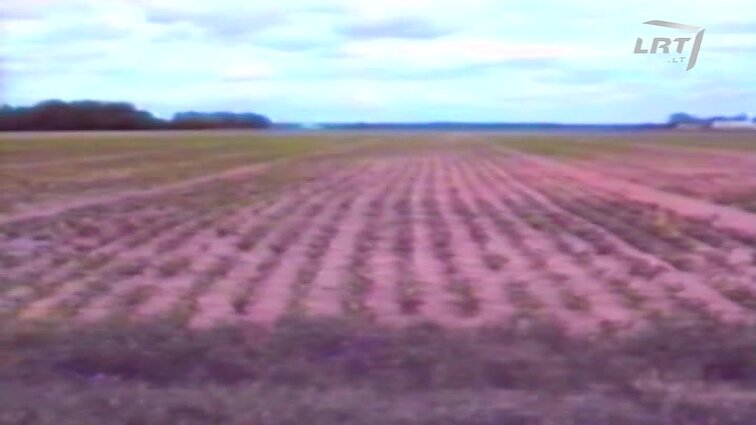 Panoramos archyvai. Agronomai apžiūri laukus