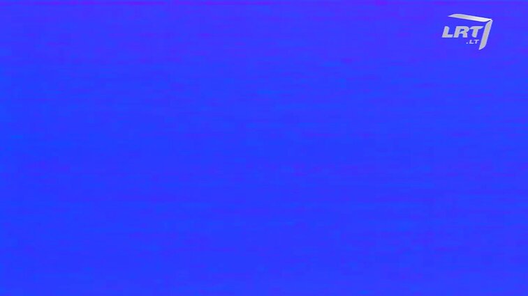 Panoramos archyvai. Dolerio ir talono santykis