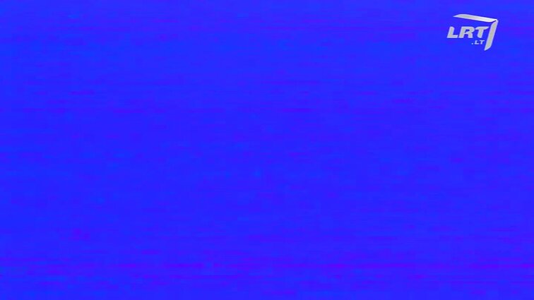 Panoramos archyvai. Įsteigta Centro partija, įvyko Piliečių Chartijos suvažiavimas