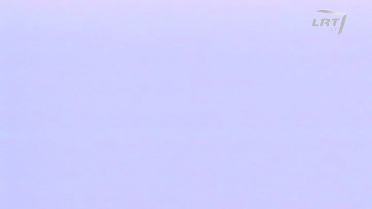 Panoramos archyvai. Muzikos instrumentų meistras