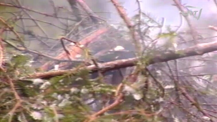 Panoramos archyvai. Atidaryta „Danfoss“ atstovybė