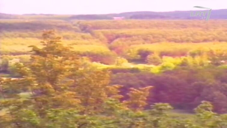 Panoramos archyvai. Stumbrų išlaikymas, ginklų įsigijimas