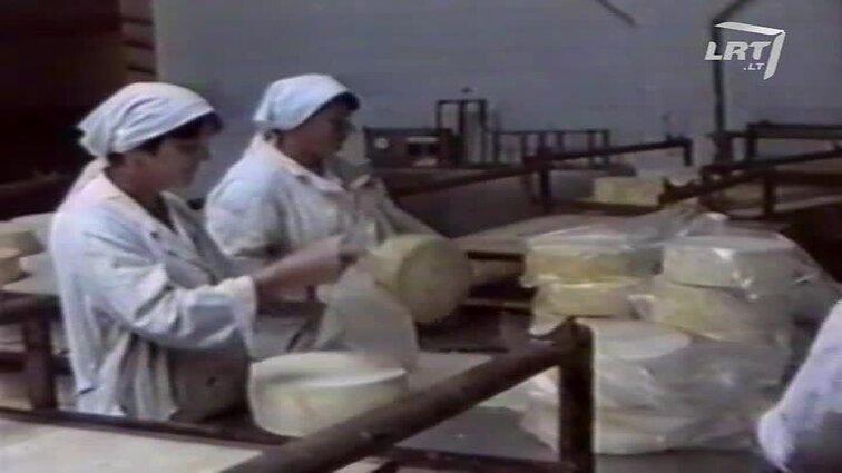 Panoramos archyvai. Telšių sūrių gamykla