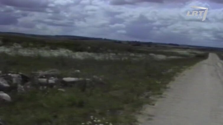 Panoramos archyvai. Kalvių žemės ūkio bendrovė