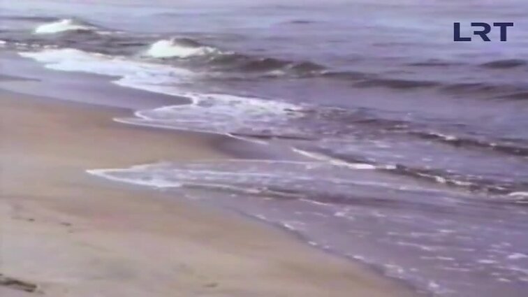 Panoramos archyvai. Ruoniai jūroje