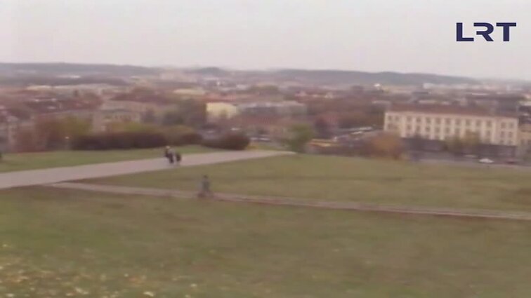 Panoramos archyvai. Biudžeto žala