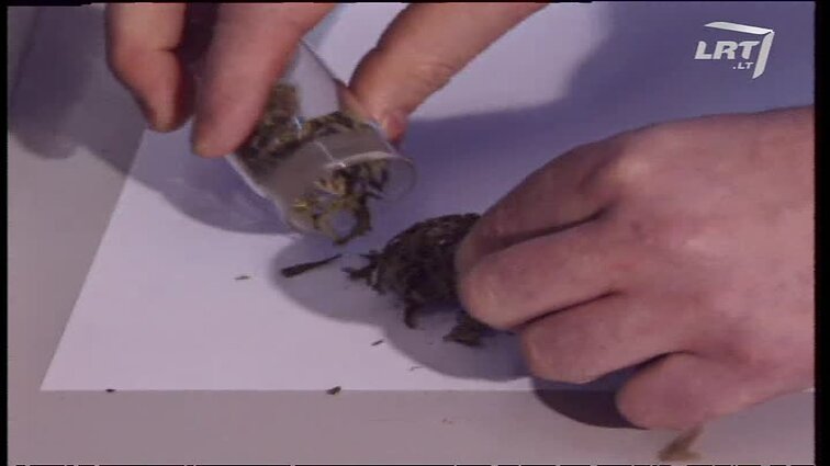 Panoramos archyvai. Narkotikai be aguonų