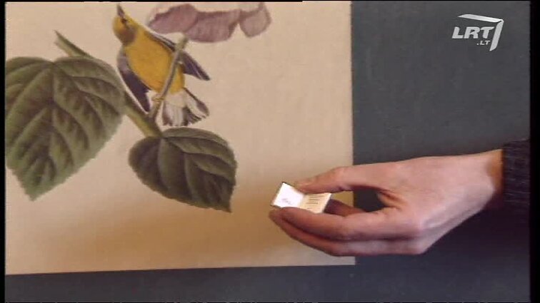 Panoramos archyvai. Knygų rekordai