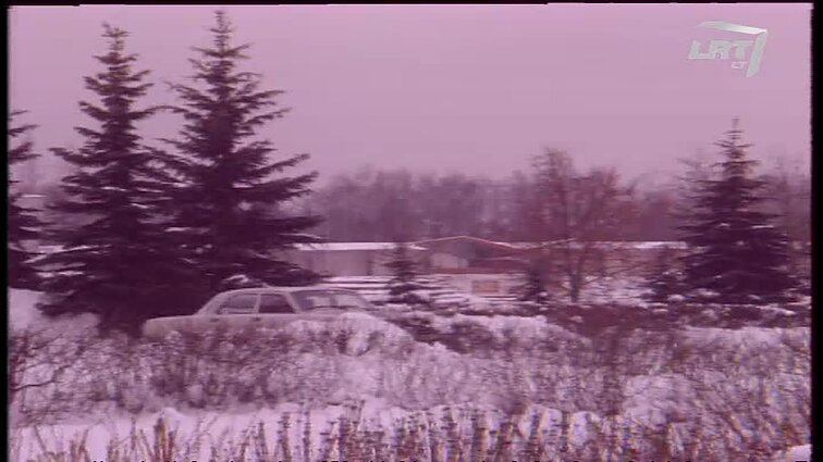 Panoramos archyvai. Ruklos karinis batalionas.