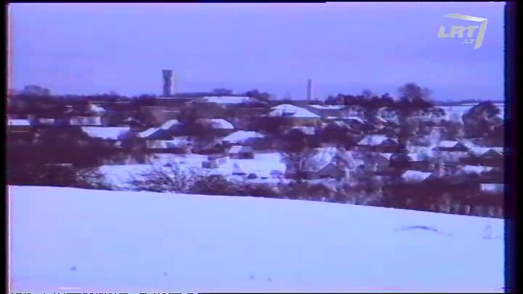 Panoramos archyvai. Žemės ūkio bendrovių likimas