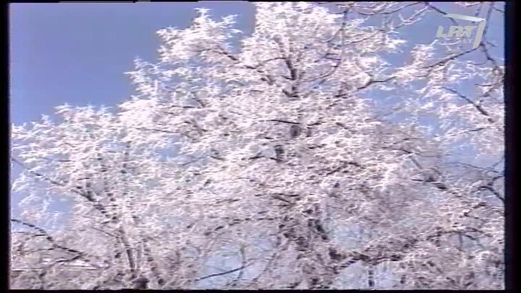 Panoramos archyvai. Mokslinė konferencija- Lietuvos diplomatijos istorija