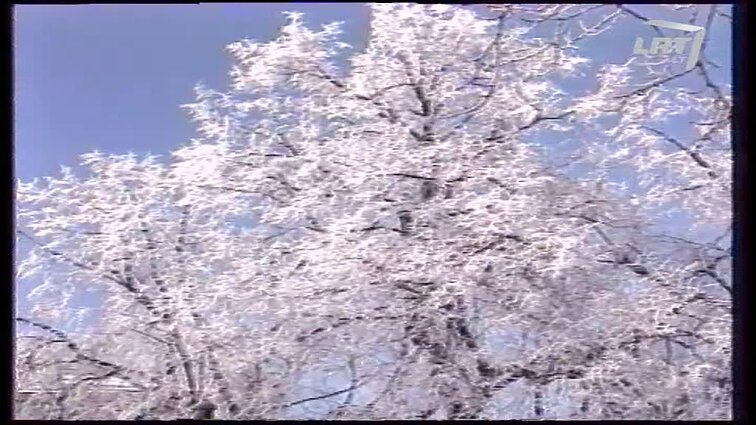 Panoramos archyvai. Mokslinė konferencija