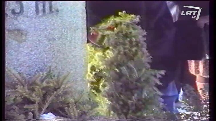 Panoramos archyvai. Vasario 16-oji švenčiama Klaipėdoje