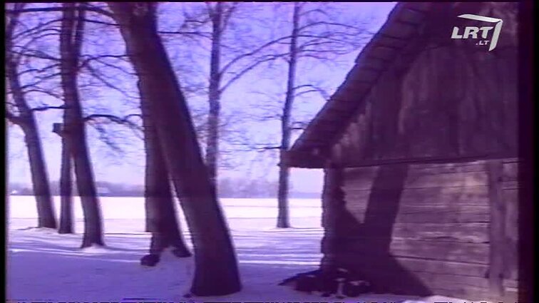 Panoramos archyvai. Žemdirbių streikas. Nepristatomas pienas