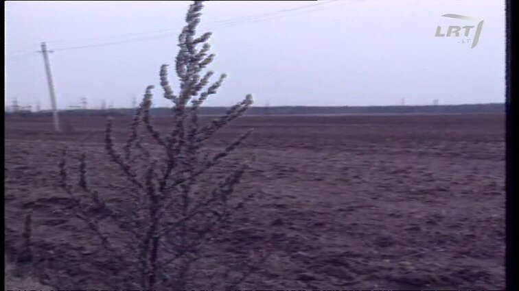 Panoramos archyvai. Kreditai žemės ūkiui