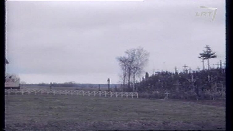 Panoramos archyvai. Šalia Kryžių kalno sodinami medeliai