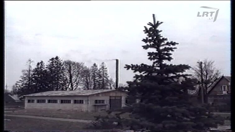 Panoramos archyvai. Krosnys kūrenamos pjuvenomis