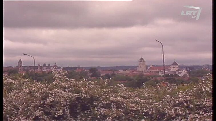 Panoramos archyvai. Bažnytinės santuokos dokumentai